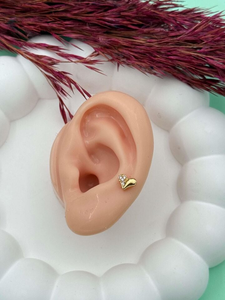 Steel Tragus // TRAG-012
