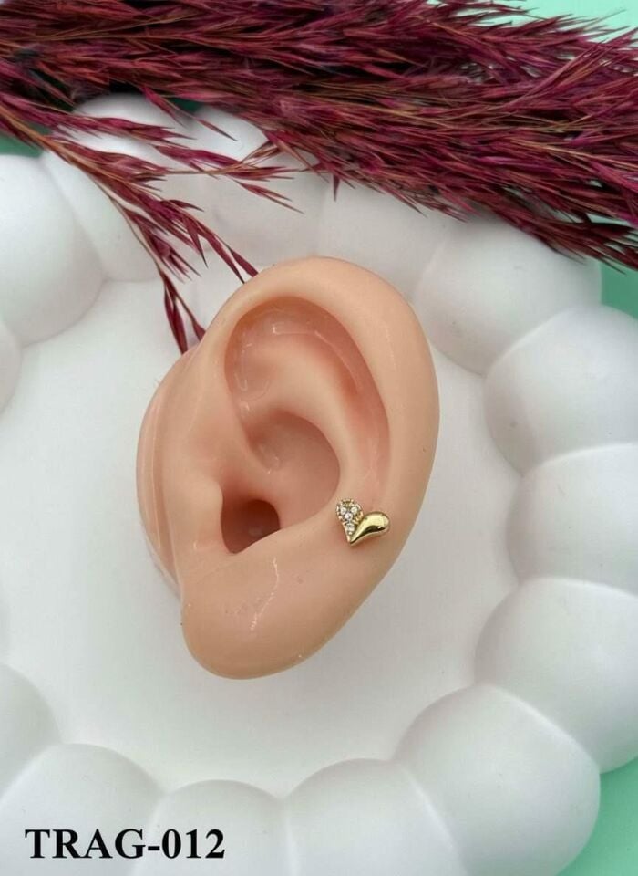 Çelik Tragus // TRAG-012
