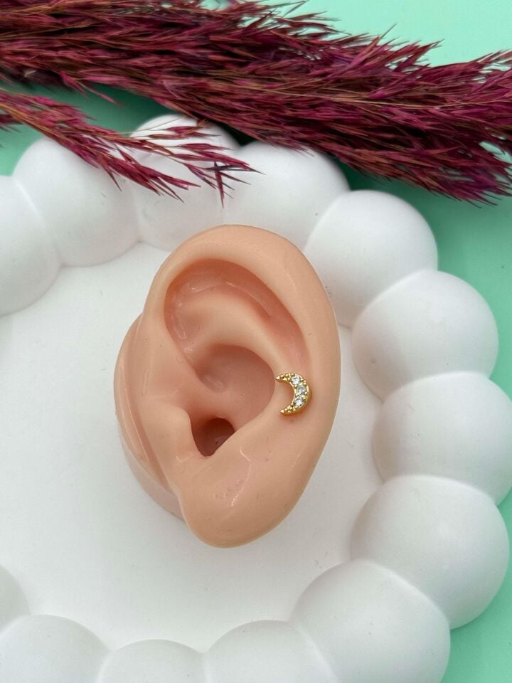 Steel Tragus // TRAG-015