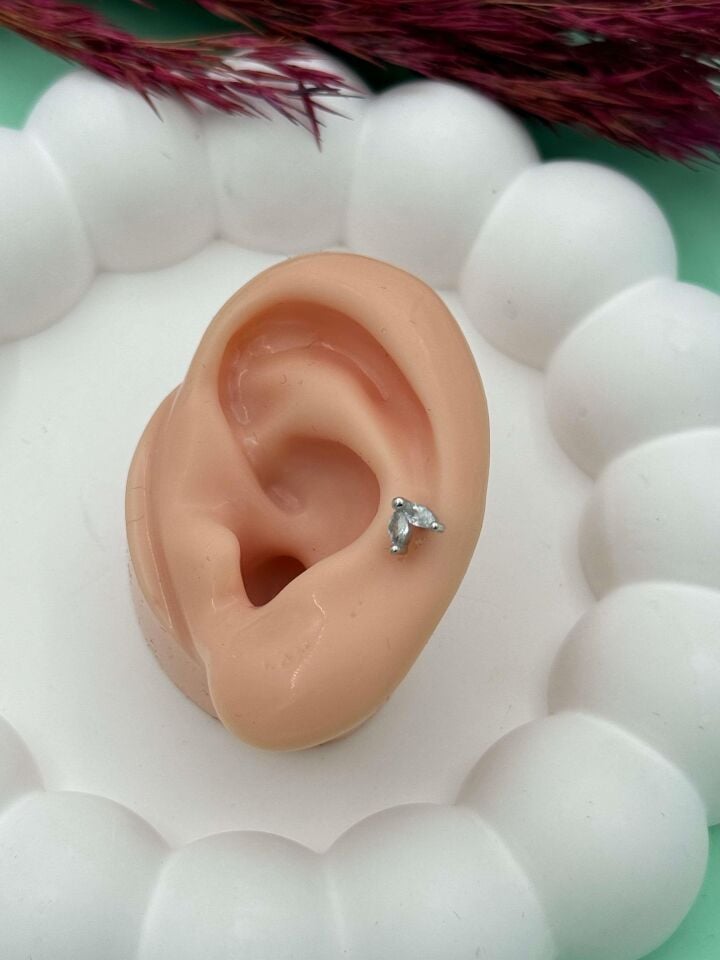 Çelik Tragus // TRAG-023