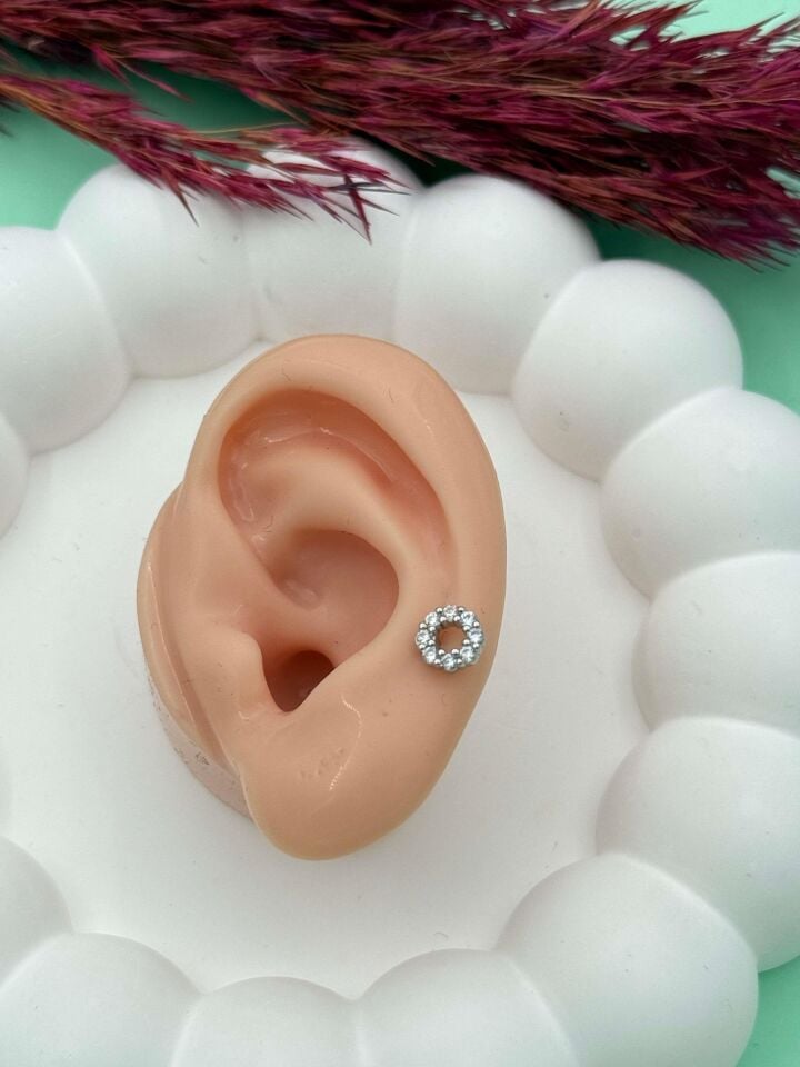 Çelik Tragus // TRAG-025