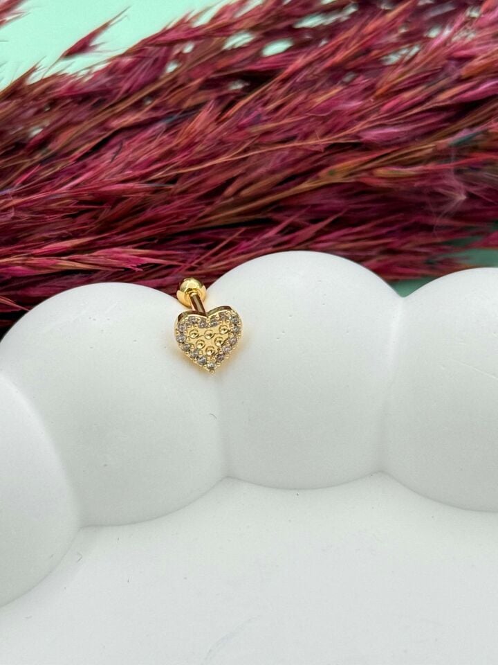 Steel Tragus // TRAG-033