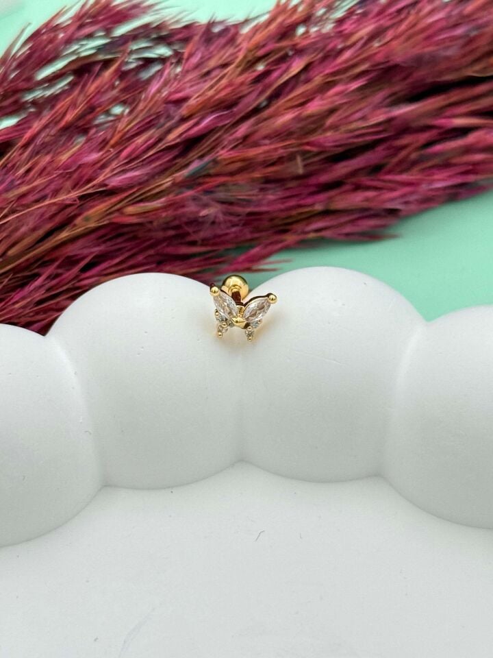Steel Tragus // TRAG-040