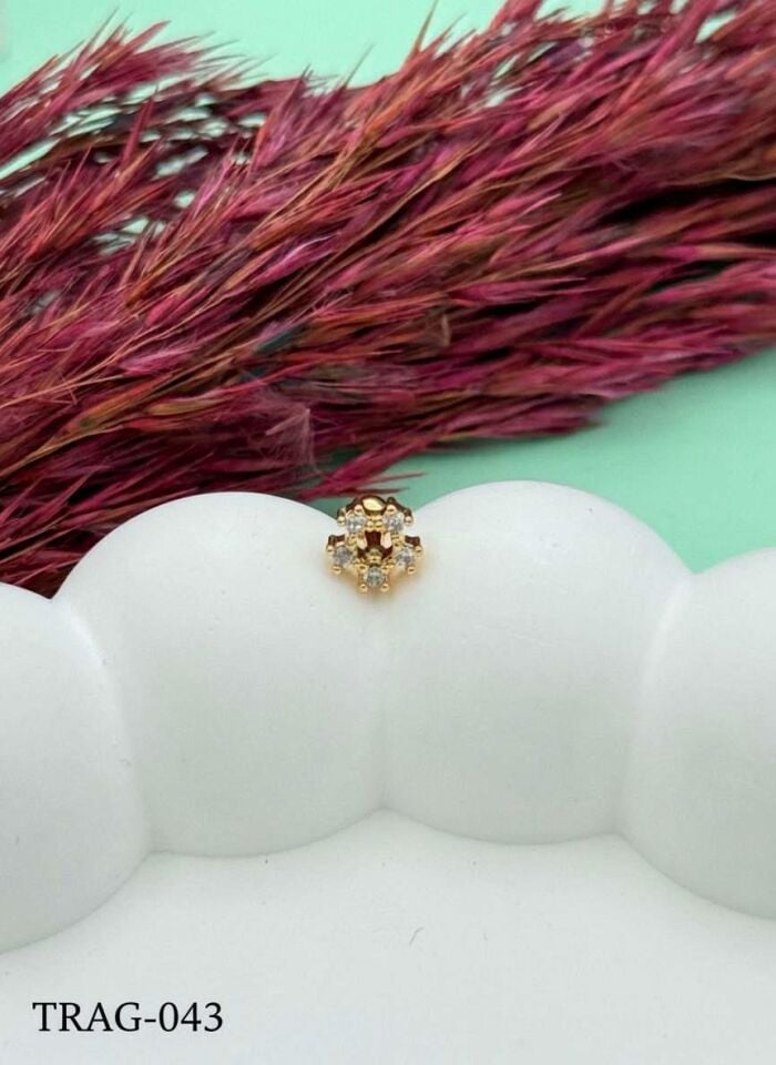 Steel Tragus // TRAG-043