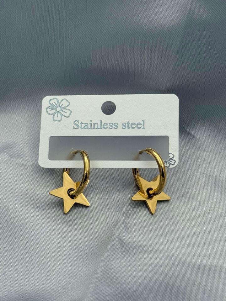 Steel Earring // EARRING-3525