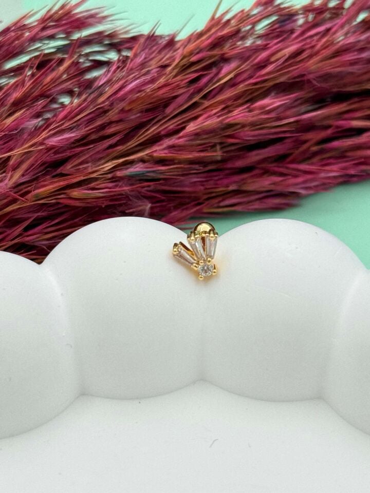 Steel Tragus // TRAG-049