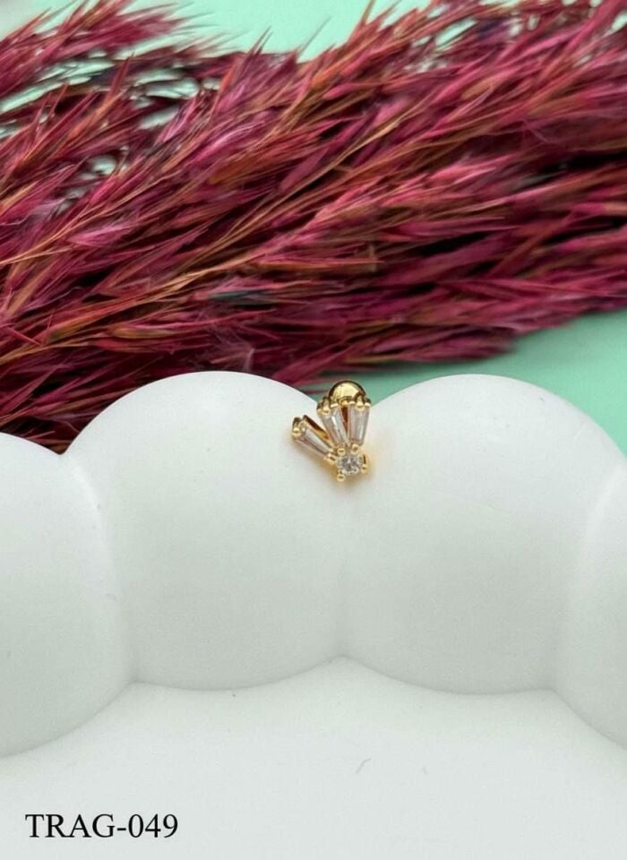 Steel Tragus // TRAG-049