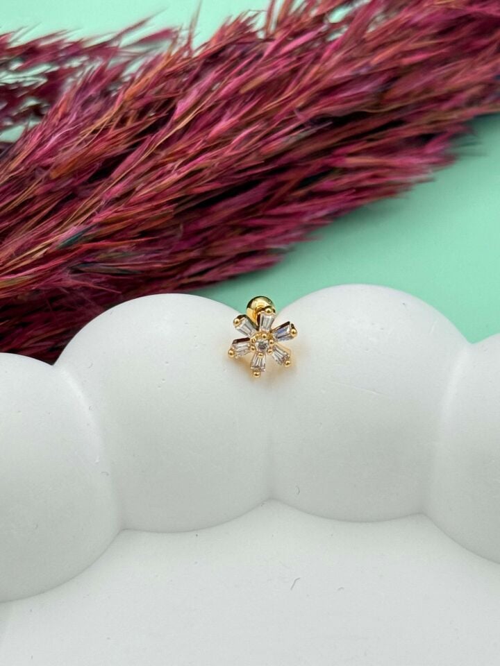 Steel Tragus // TRAG-053