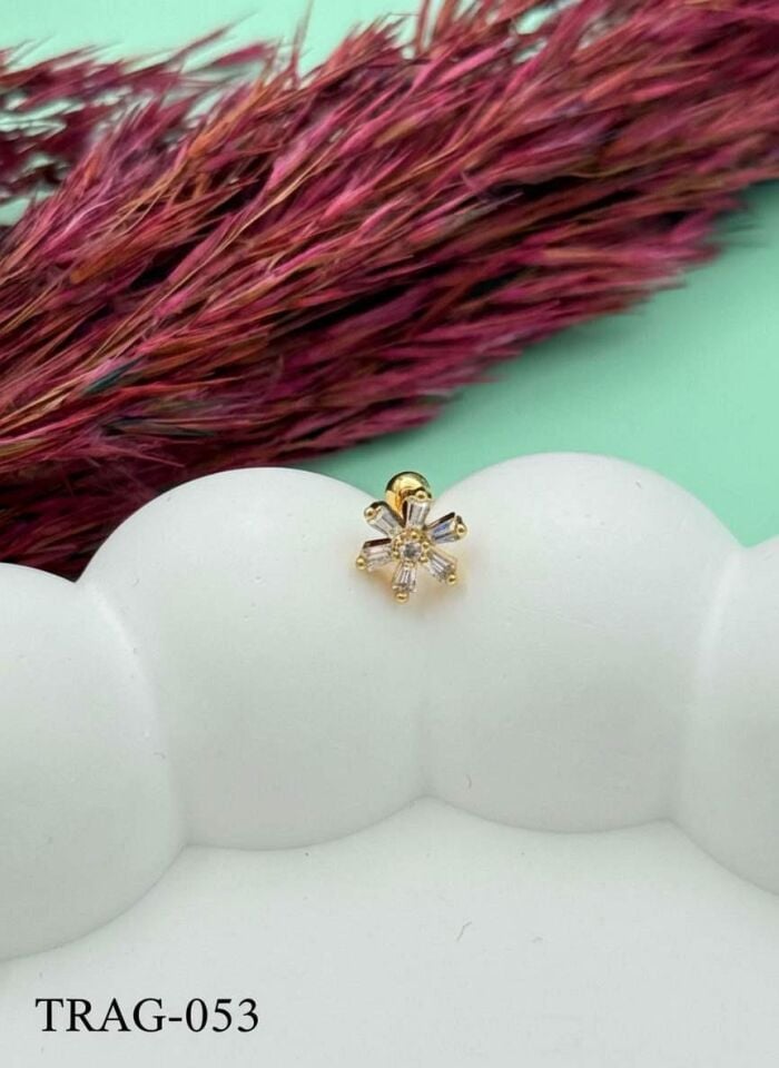 Steel Tragus // TRAG-053