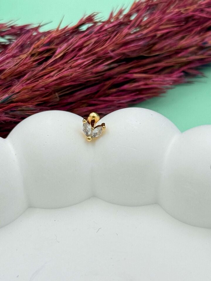 Steel Tragus // TRAG-065