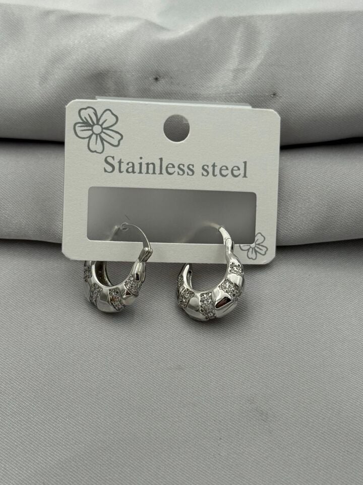 Steel Earring