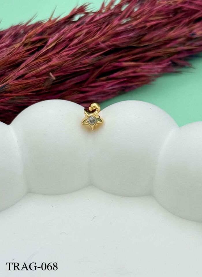 Steel Tragus // TRAG-068