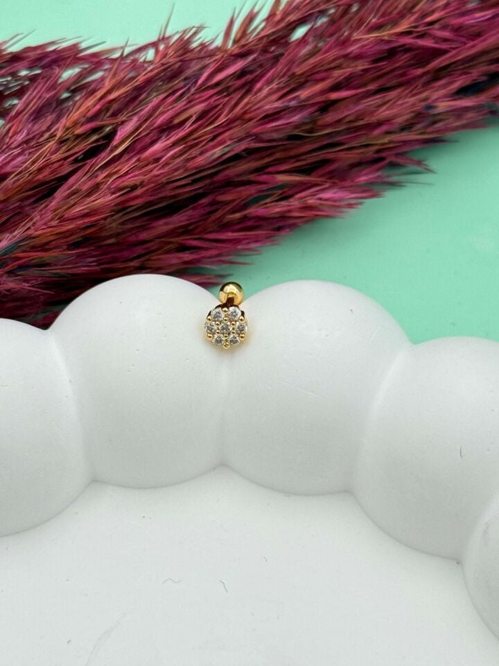 Steel Tragus // TRAG-072