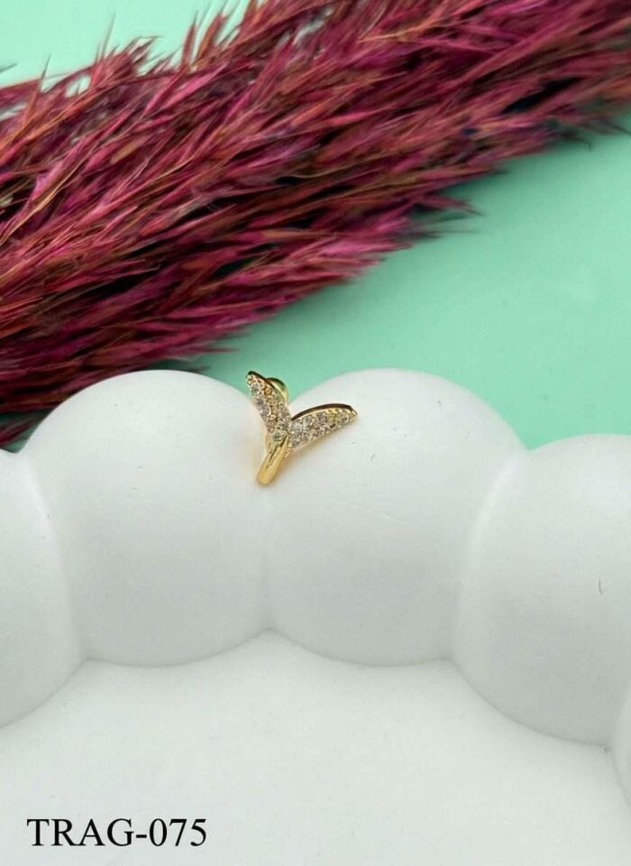 Steel Tragus // TRAG-075