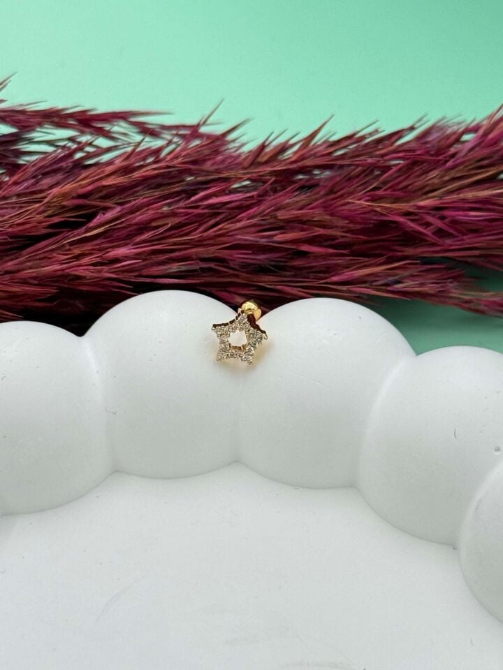 Steel Tragus // TRAG-083