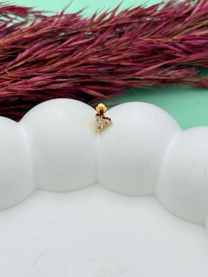 Steel Tragus // TRAG-093