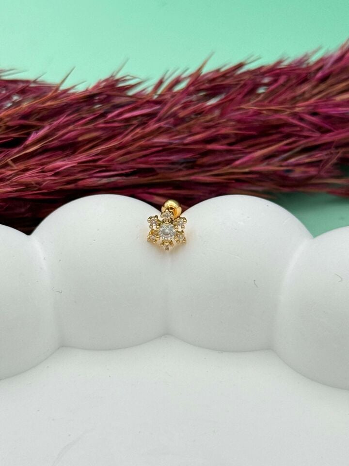 Steel Tragus // TRAG-095