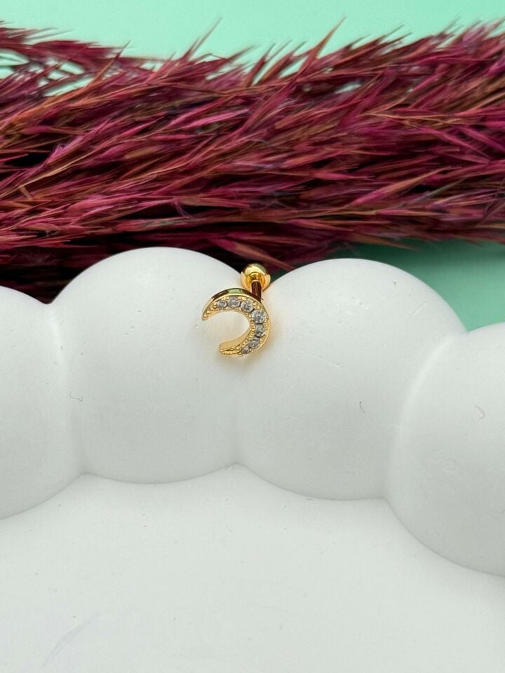 Steel Tragus // TRAG-097