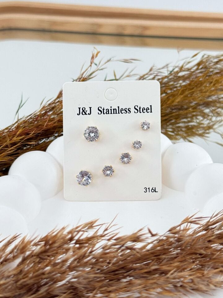 Steel Set Earring // EARRINGS-3286