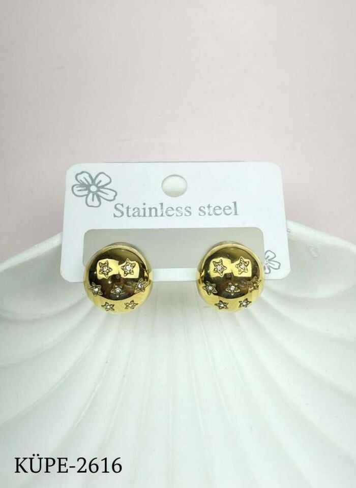 Steel Earring // EARRING-2616