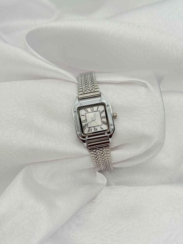 Çelik Kadın Saat // SAAT-665