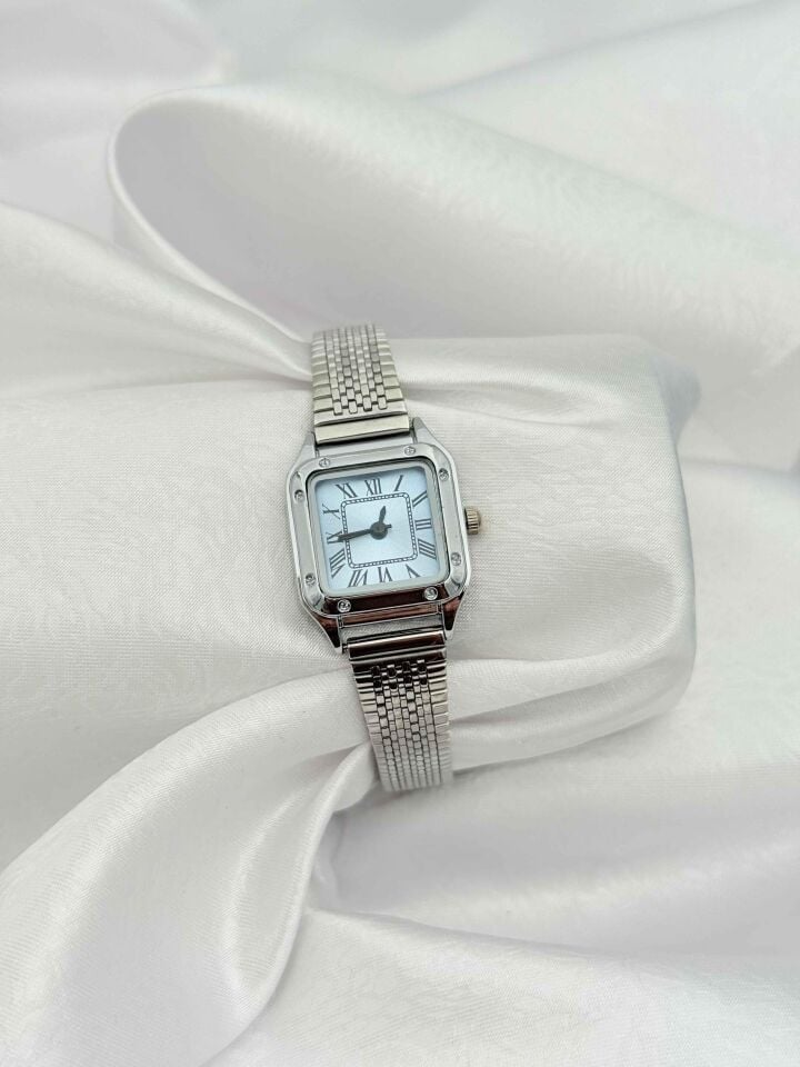 Çelik Kadın Saat // SAAT-668