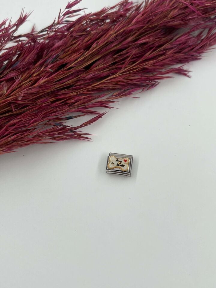 NMT Charm // CHARM-609