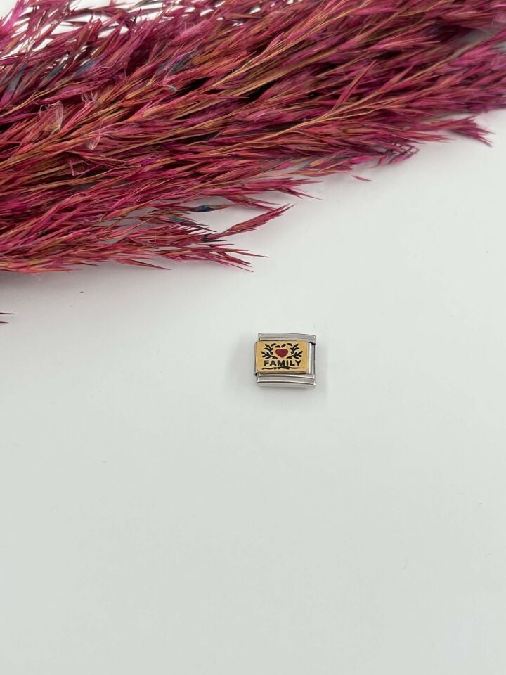 NMT Charm // CHARM-611