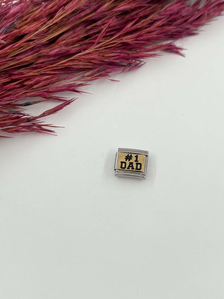 NMT Charm // CHARM-613