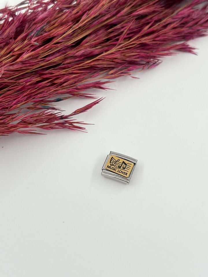 NMT Charm // CHARM-621