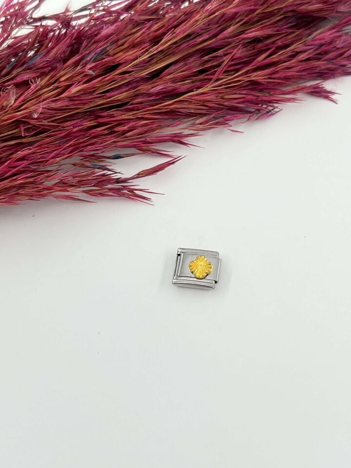 NMT Charm // CHARM-623
