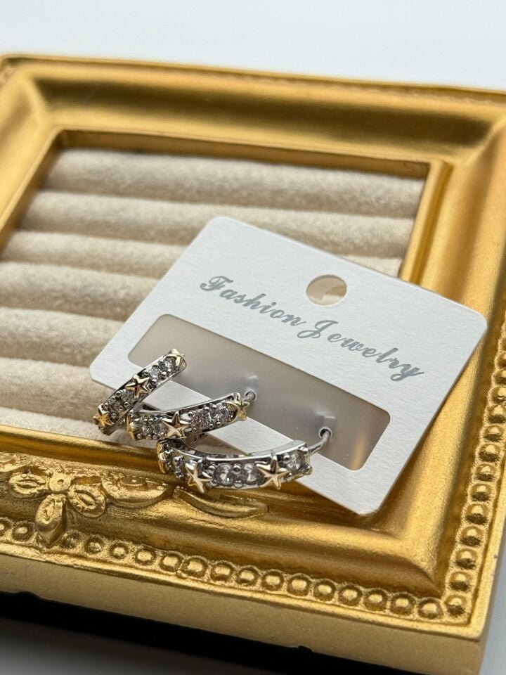 VIP-Ohrring // IMPORT-3209