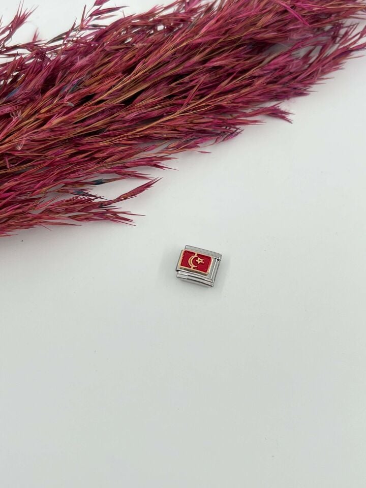 NMT Charm // CHARM-625