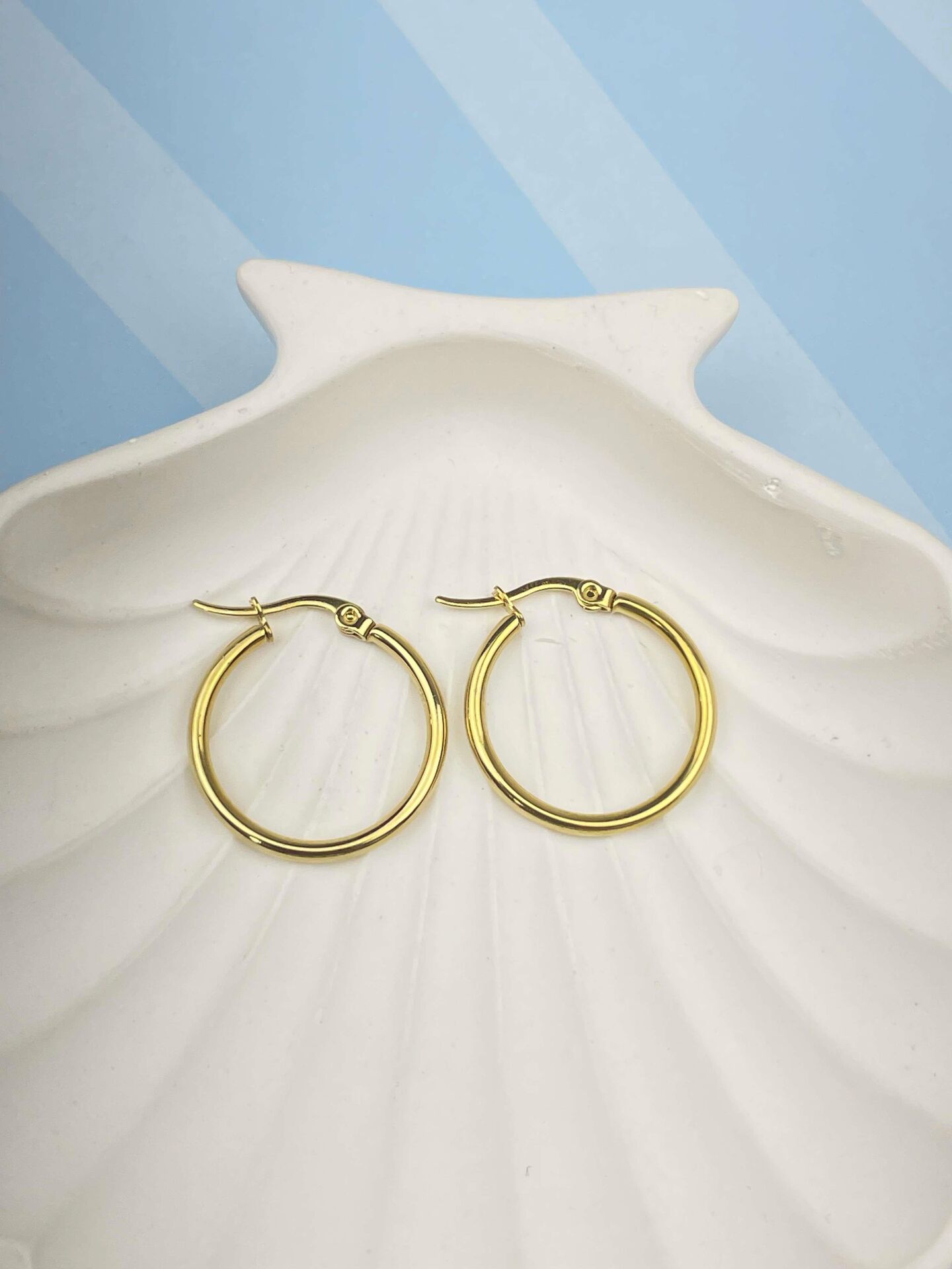 Steel Hoop Earrings 2.5cm // EARRINGS-2556
