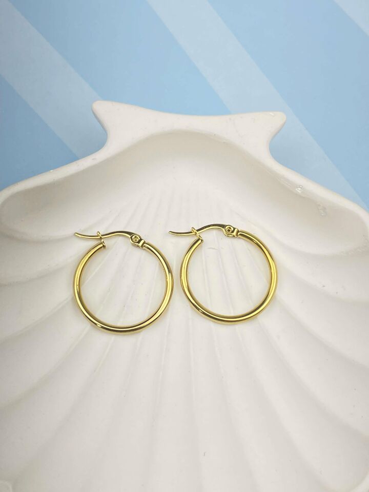 Steel Hoop Earrings 2.5cm // EARRINGS-2556