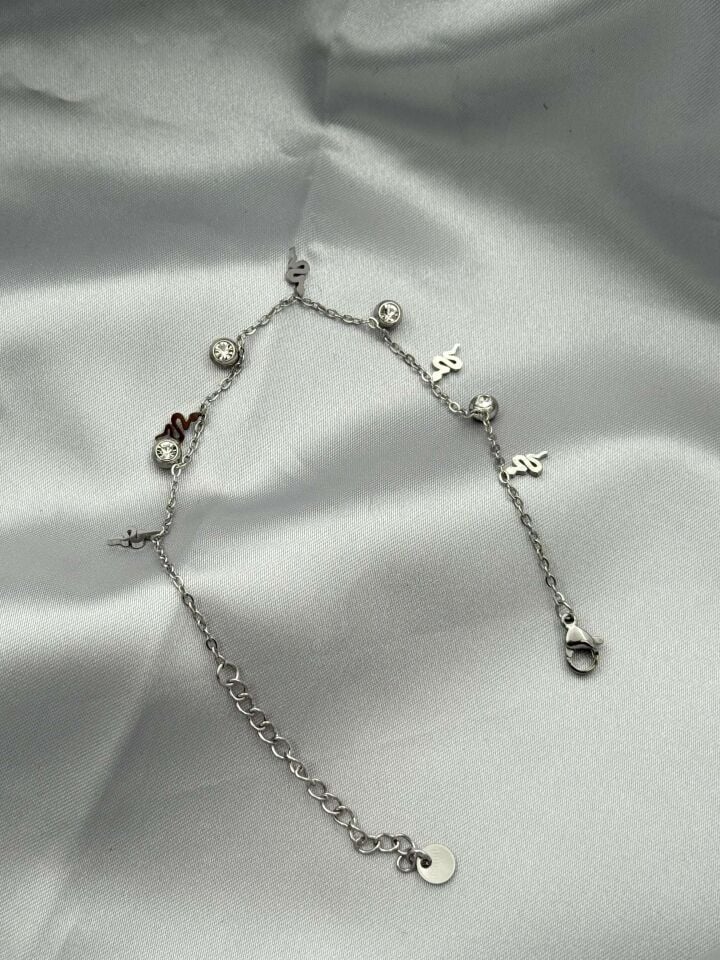 Steel Bracelet // WRIST-5289