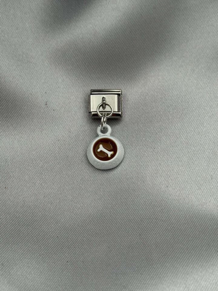 NMT Charm // CHARM-695