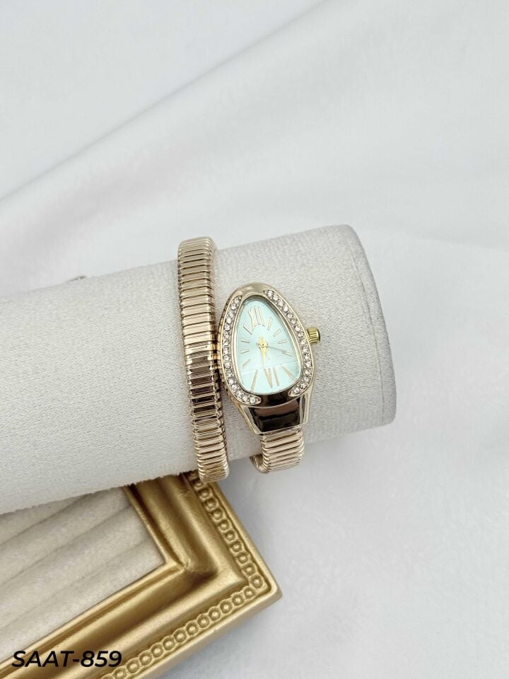 Çelik Yılan Saat // SAAT-859