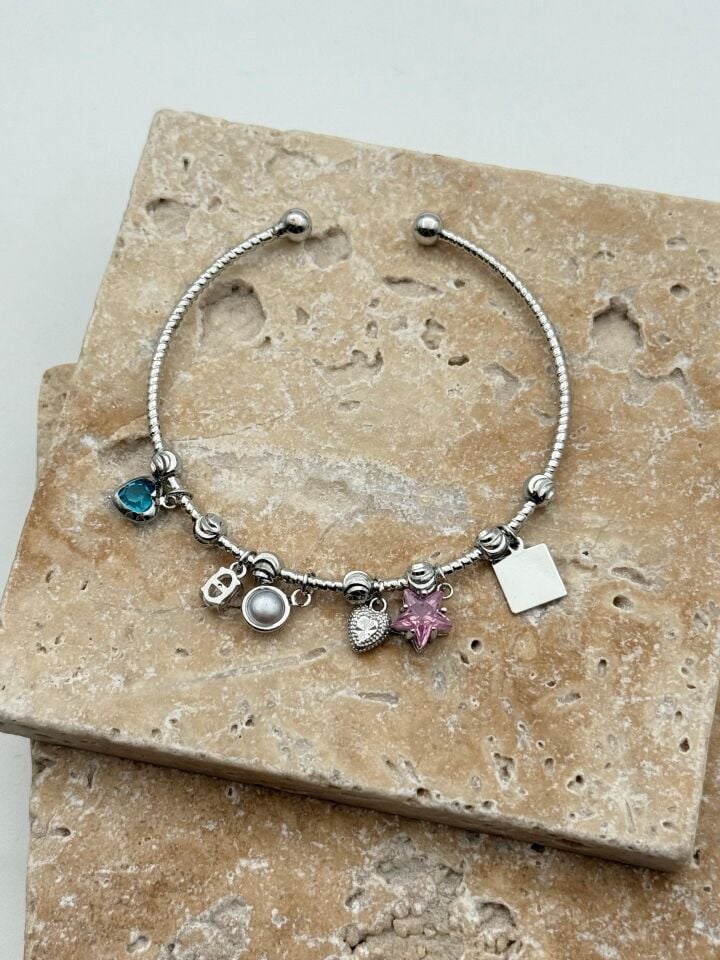Steel Charm Bracelet // WRIST-5969