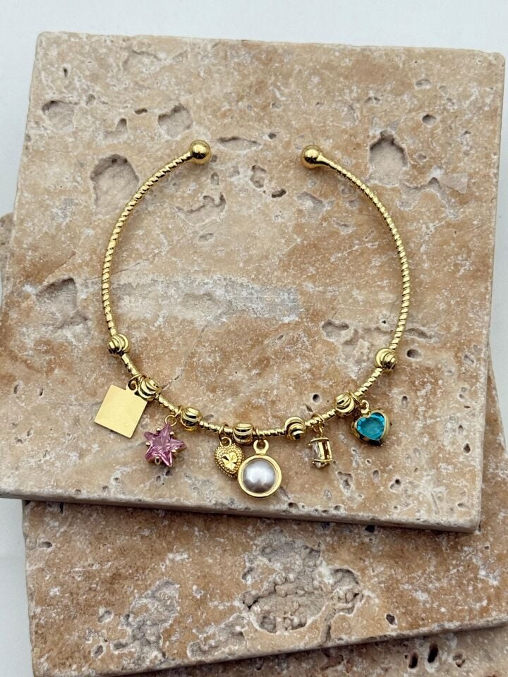 Steel Charm Bracelet // WRIST-5955