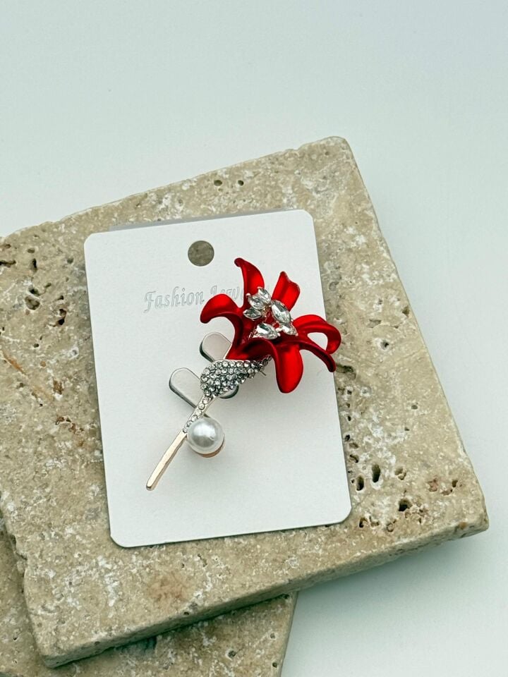 Özel Seri Broş // BROS-842