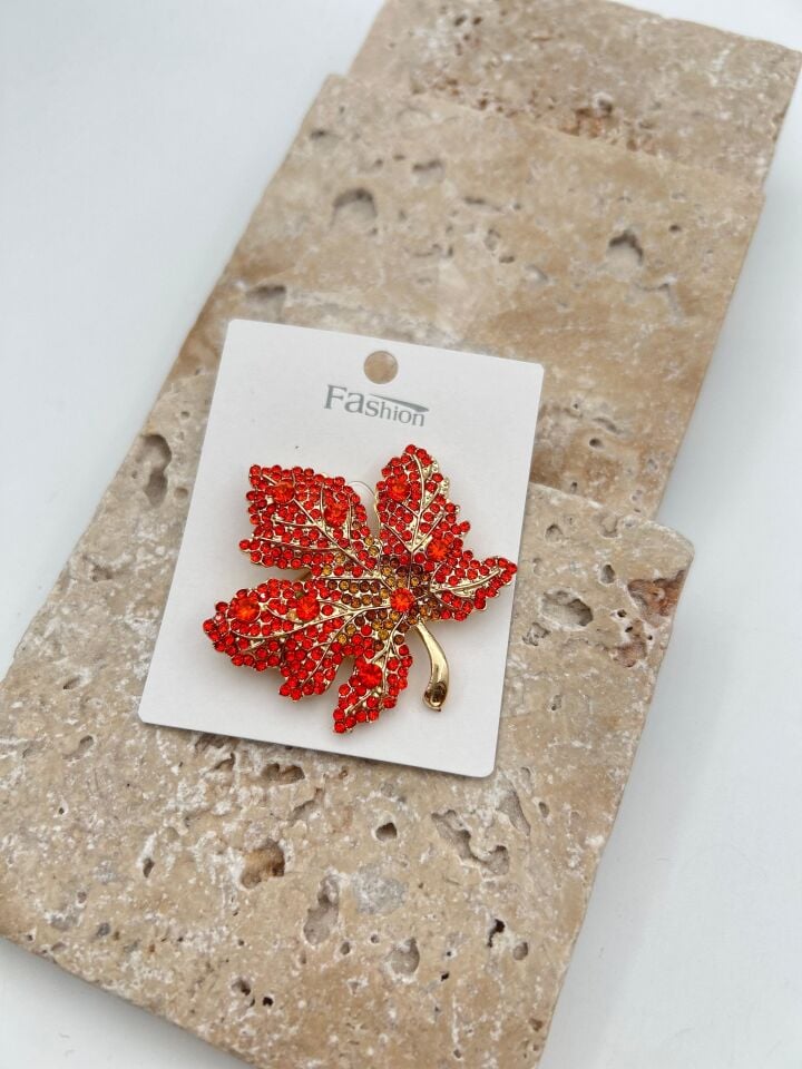 Özel Seri Broş // BROS-691