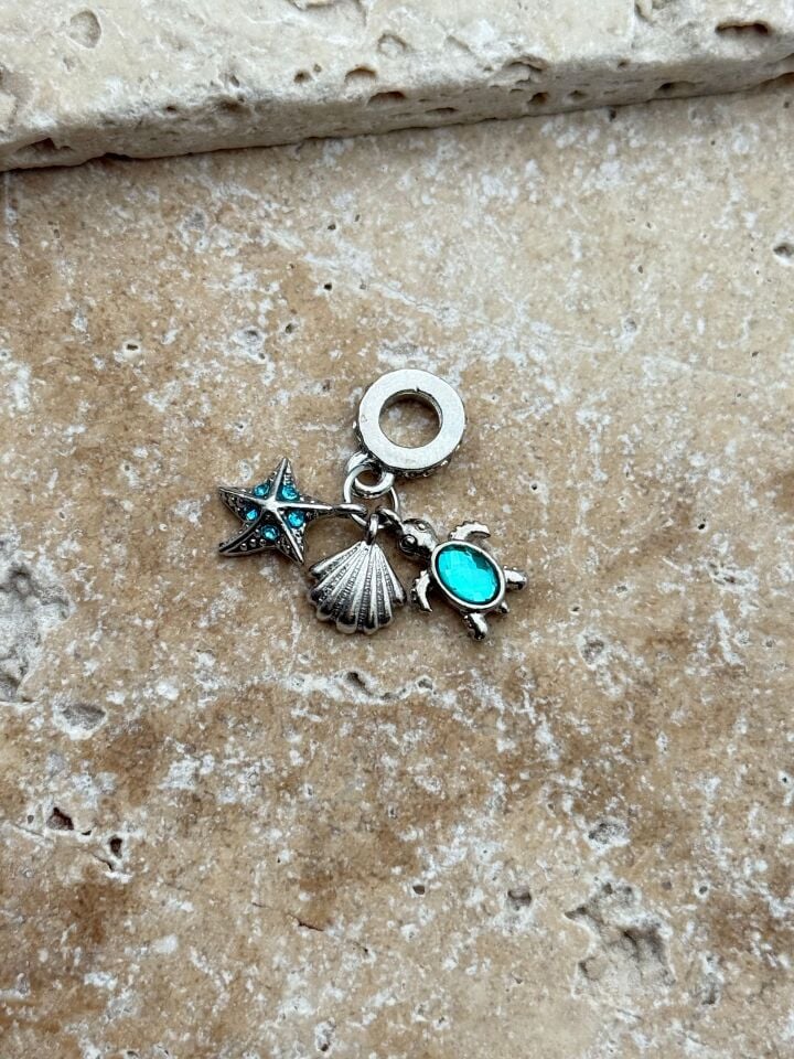 PNDR-Charm // CHARM-866