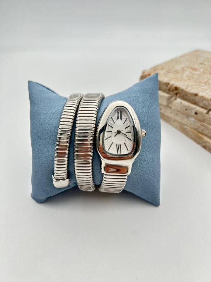 Steel Brand Model Watch // KELEPCE-2956