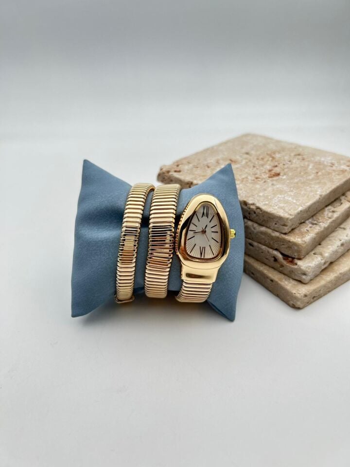 Steel Brand Model Watch // KELEPCE-2957