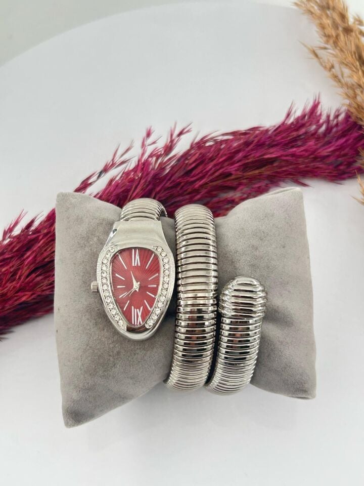 Steel Brand Model Watch // KELEPCE-2959