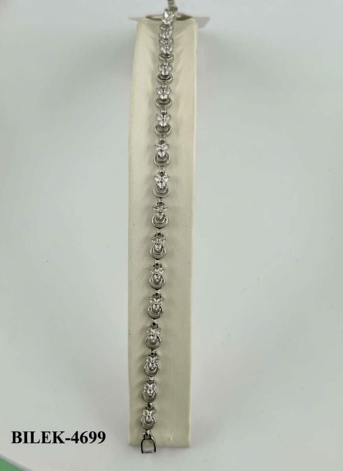 VIP Silver Bracelet // WRIST-4699