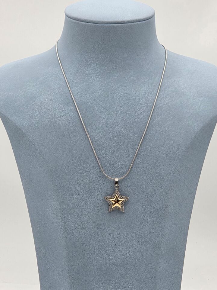 Doppelfarbige Halskette aus Stahl 45 cm // NECKLACE-5925