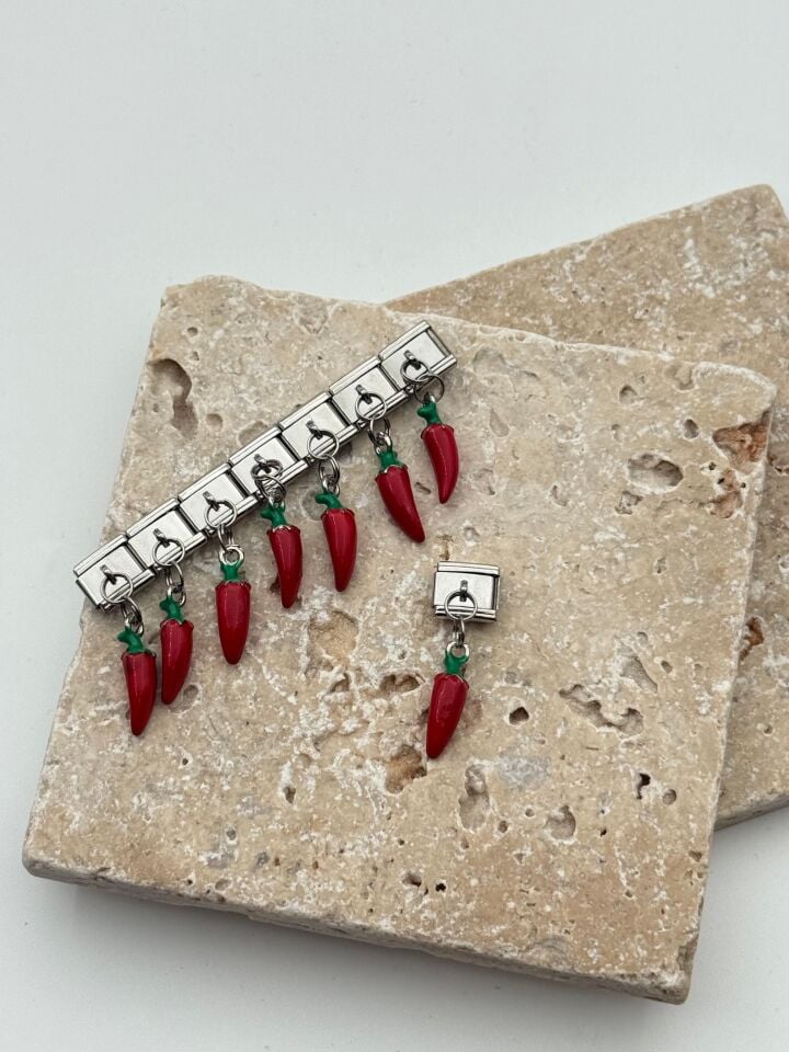 NMT Charm // CHARM-723