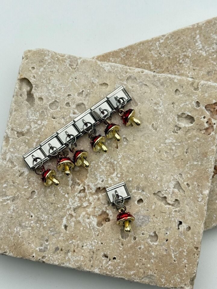 NMT Charm // CHARM-727